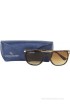 Danny Daze Wayfarer Sunglasses
